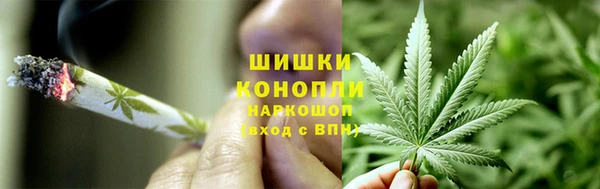 ГАЛЛЮЦИНОГЕННЫЕ ГРИБЫ Бронницы