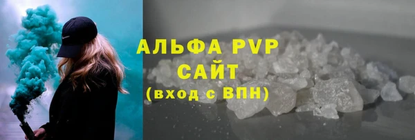 трава Бородино