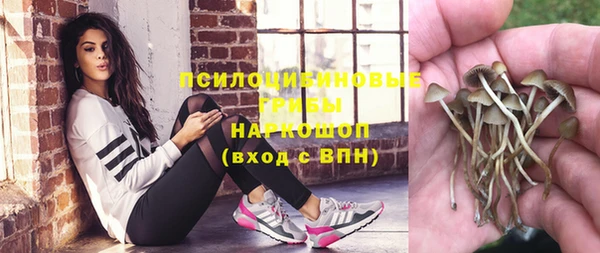 ГАЛЛЮЦИНОГЕННЫЕ ГРИБЫ Бронницы
